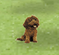 image of dog in algopets game